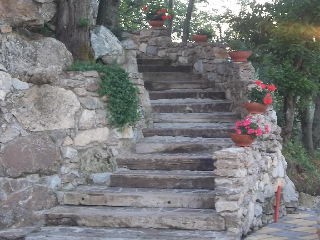 Uliveto Garden