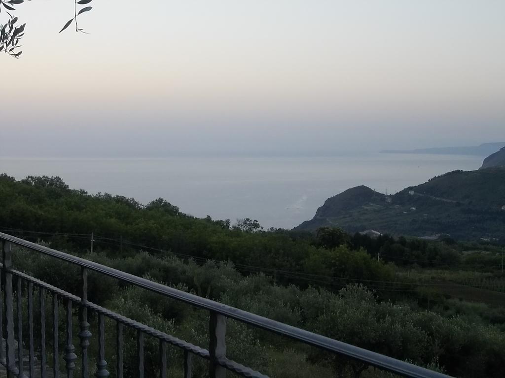 Uliveto Garden *