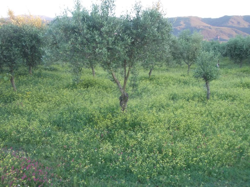 Uliveto Garden * Bagnara Calabra
