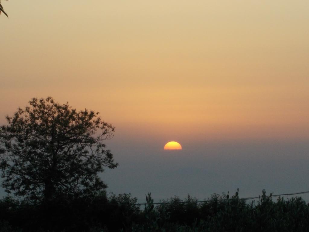 Uliveto Garden Bed & Breakfast *