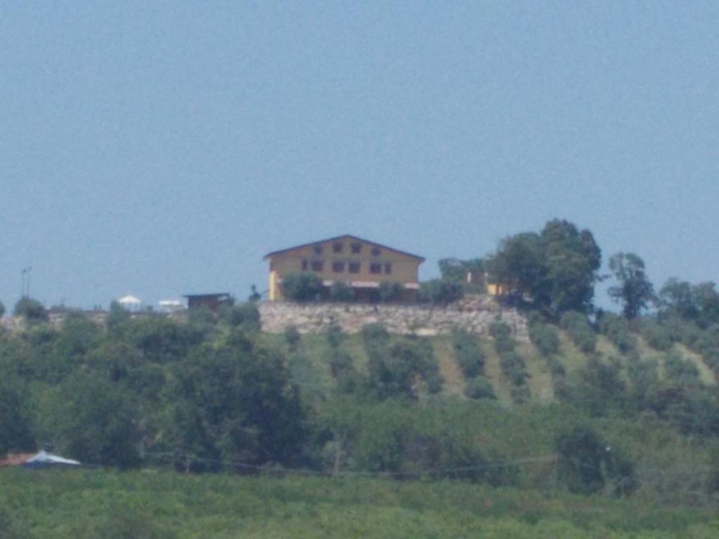 Uliveto Garden * Bagnara Calabra