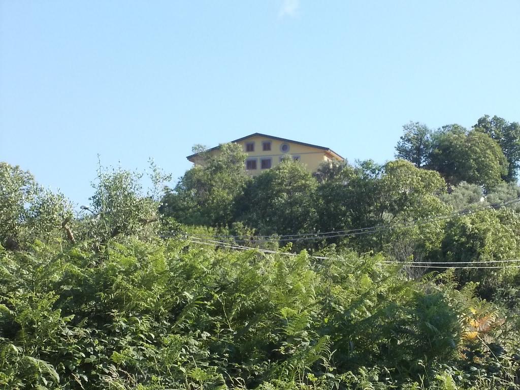 Bed & Breakfast Uliveto Garden